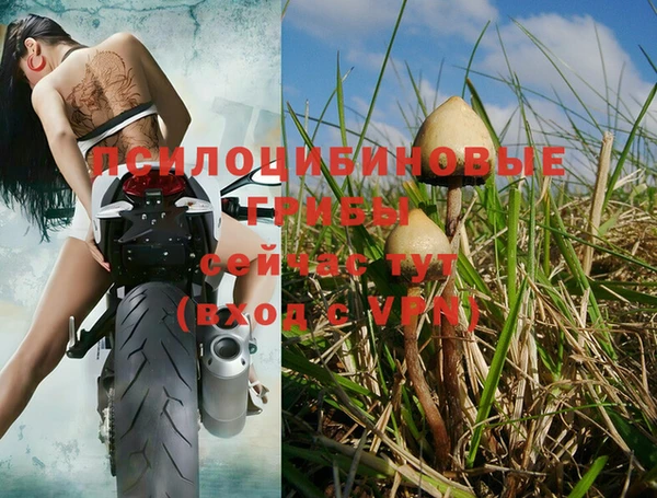 Альфа ПВП Лабытнанги