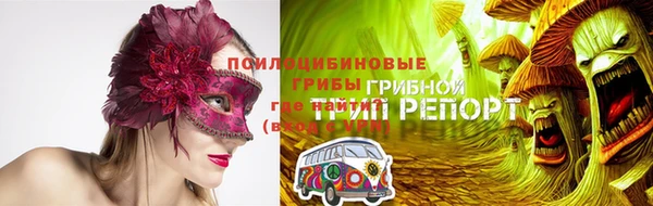 тгк Магадан