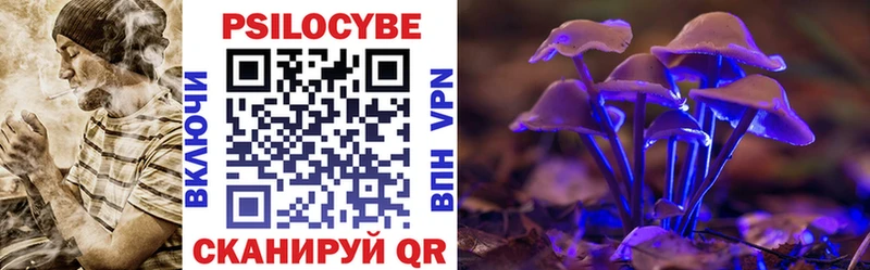 даркнет сайт  Новоузенск  Псилоцибиновые грибы Cubensis 